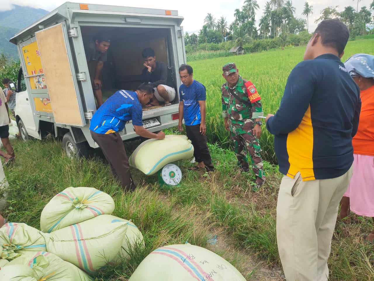 Tembus 151,55% dari Target, Kodam IM Wujudkan Komitmen Ketahanan Pangan Bersama BULOG dan Pemda