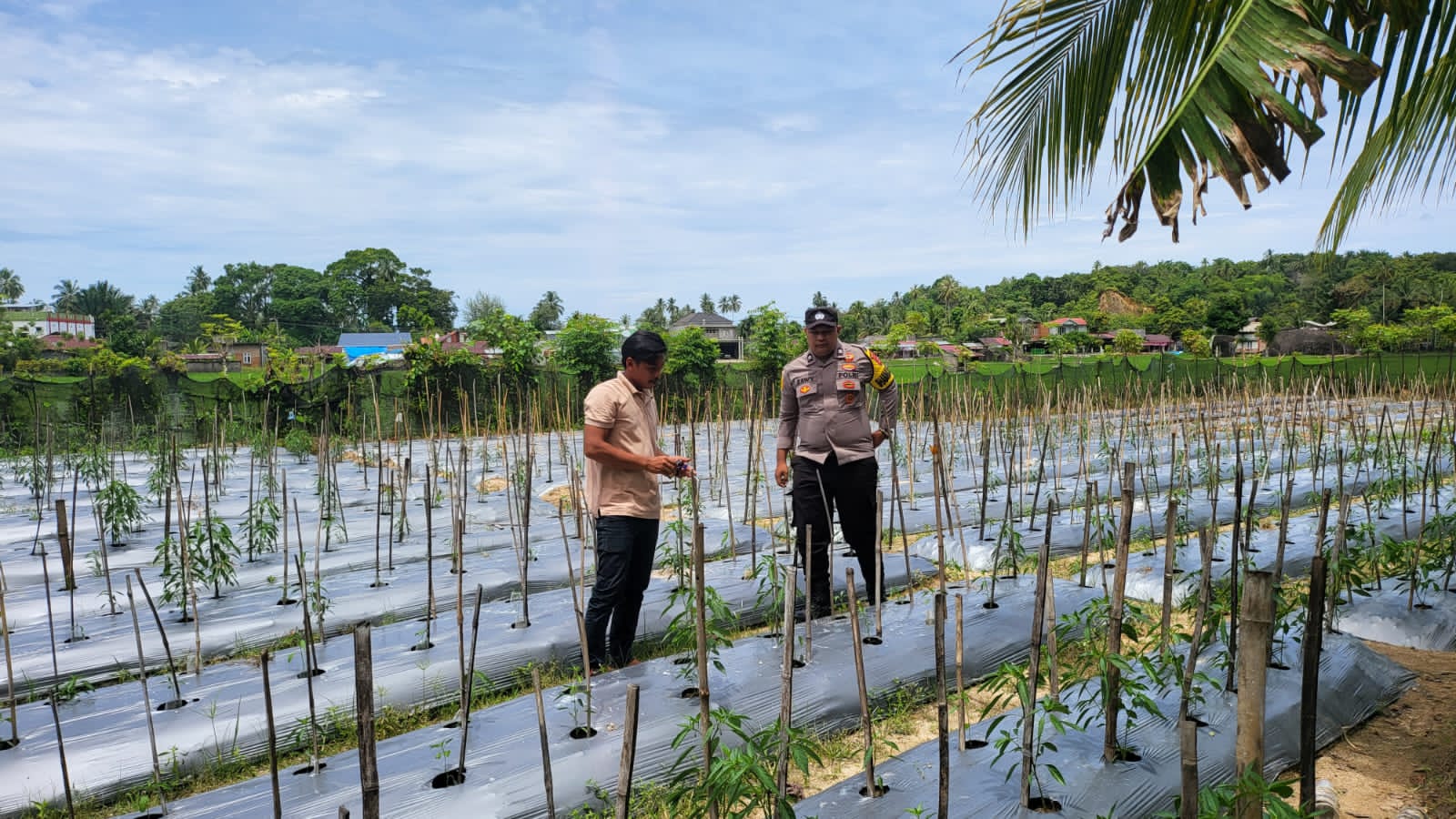 Dukung Ketahanan Pangan, Bhabinkamtibmas Polsek Samadua Terus Dukung Masyarakat Dalam Pemanfaatan Lahan Produktif