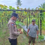 Bhabinkamtibmas Polsek Kluet Timur Sambangi Lahan Produktif Warga