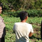 Bhabinkamtibmas Polsek Tapaktuan Dukung Pemanfaatan Lahan Pertanian untuk Tanaman Bergizi