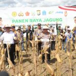Kapolri-Mentan Panen Raya Jagung di Bone, Dukung Program Ketahanan Pangan Nasional