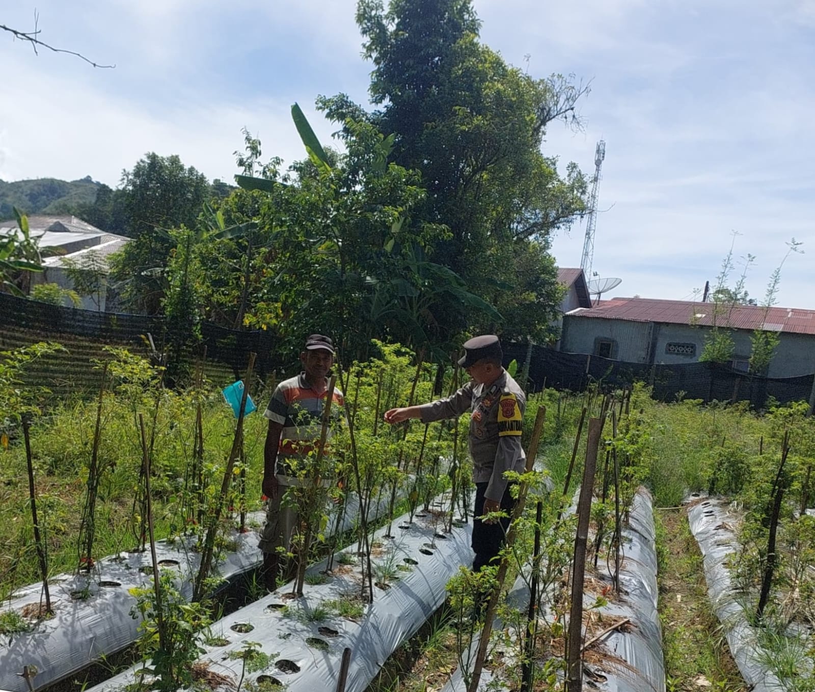 Dukung Ketahanan pangan, Bhabinkamtibmas Polsek Samadua terus gerakkan Warga Pemanfaatan Lahan Produktif