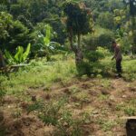 Dukung Ketahanan Pangan, Personel Polsek Tapaktuan Kunjungi Lahan Produktif Masyarakat