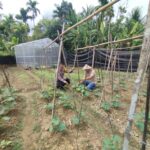 Dukung Ketahanan Pangan Nasional, Personel Polsek Samadua Kunjungi Lahan Produktif Masyarakat