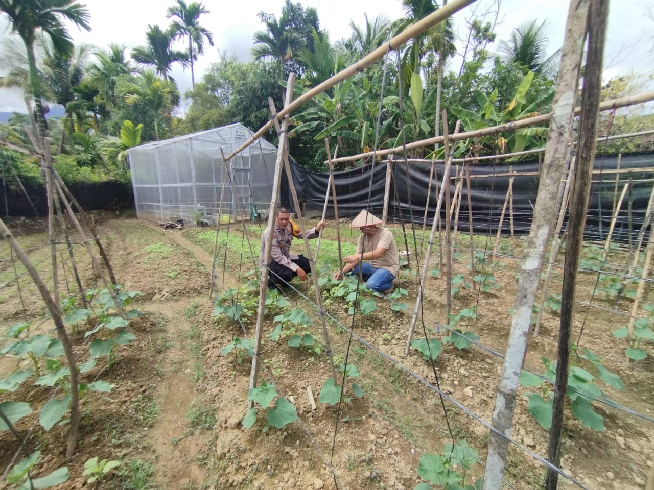 Dukung Ketahanan Pangan Nasional, Personel Polsek Samadua Kunjungi Lahan Produktif Masyarakat