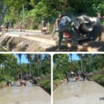 Satgas TMMD ke-124 Kodim 0107/Aceh Selatan Genjot Terus Pengecoran Jalan