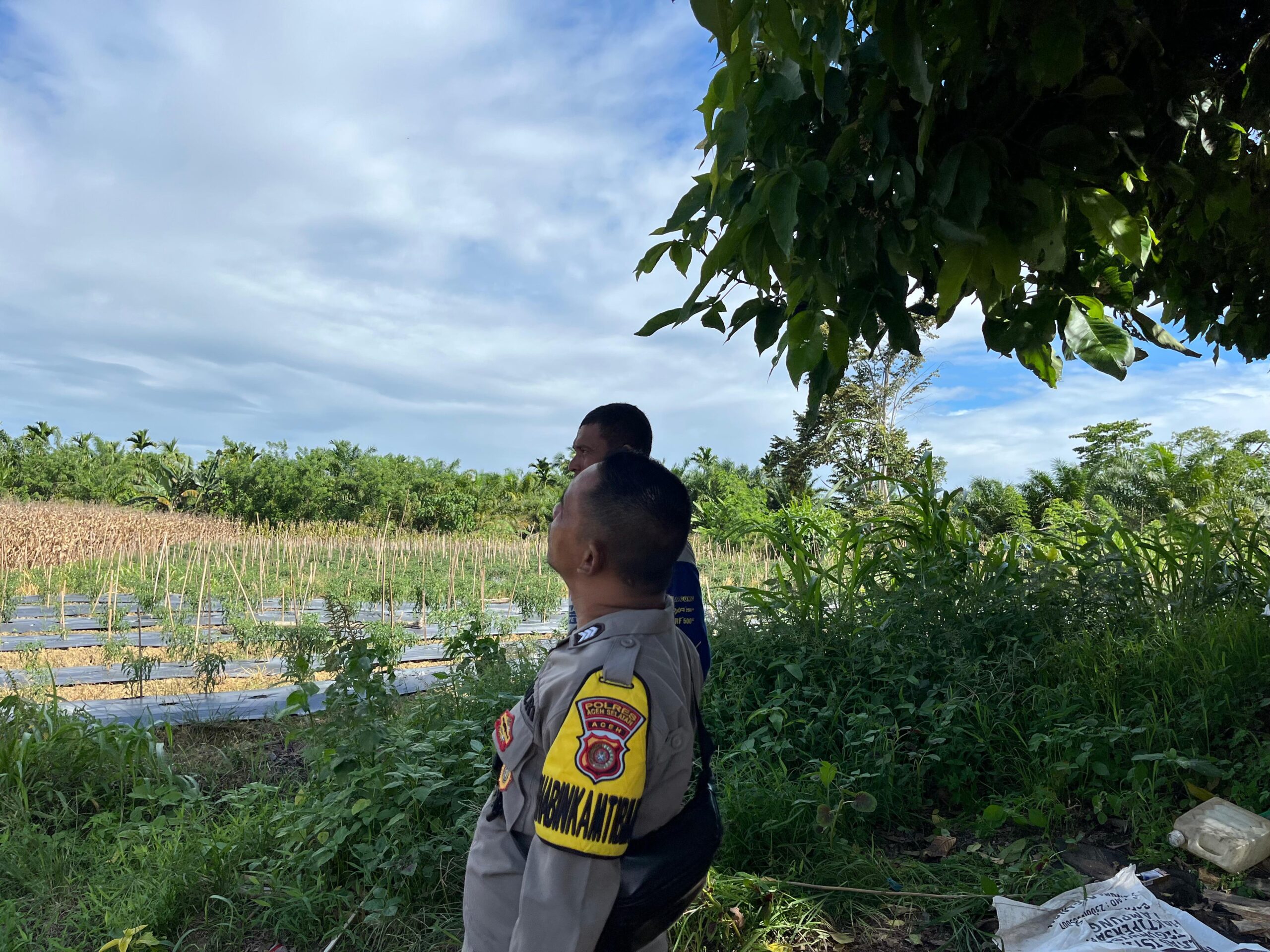 Personel Polsek Trumon Timur Kunjungi Lahan Warga Tanam Tanaman Bergizi