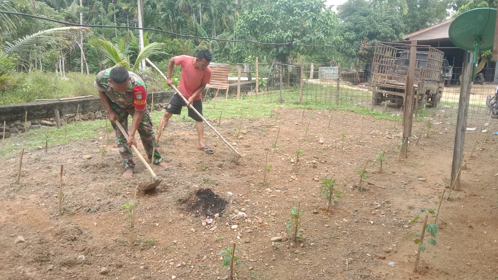 ‎Babinsa Kodim 0107/Aceh Selatan Dorong Warga Manfaatkan Lahan Kosong Jadi Lahan Produktif