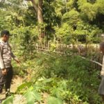 Sambangi Lahan Warga, Personel Polsek Labuhanhaji Timur Dukung Pemanfaatan Lahan untuk Tanaman Bergizi