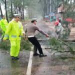 Satlantas Polres Aceh Jaya Respons Cepat Atasi Pohon Tumbang di Jalan Gunung Keutapang-Pasie Luah