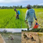 Pangdam IM Apresiasi Peran Babinsa dalam program Ketahanan Pangan Nasional