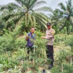 Perkuat Sinergi dengan Petani, Bhabinkamtibmas Dukung Pengelolaan Lahan Produktif