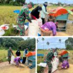 Kepedulian TNI pada Ketahanan Pangan, Babinsa Jajaran Kodim 0107/Aceh Selatan Aktif Dampingi Petani