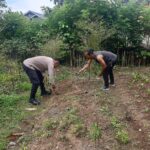 Dukung Ketahanan Pangan, Polsek Tapaktuan Kunjungi Lahan Perkarangan Warga