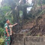 Melalui Komsos, Babinsa Serda Redi Pribadi Ingatkan Petani Jangan Buka Lahan dengan Membakar