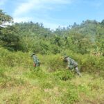 ‎Kodim 0107/Aceh Selatan Bentuk Kompi Produksi Ketahanan Pangan