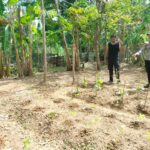 Polsek Labuhanhaji Timur Dukung Ketahanan Pangan Lewat Kunjungan ke Lahan Perkarangan Warga
