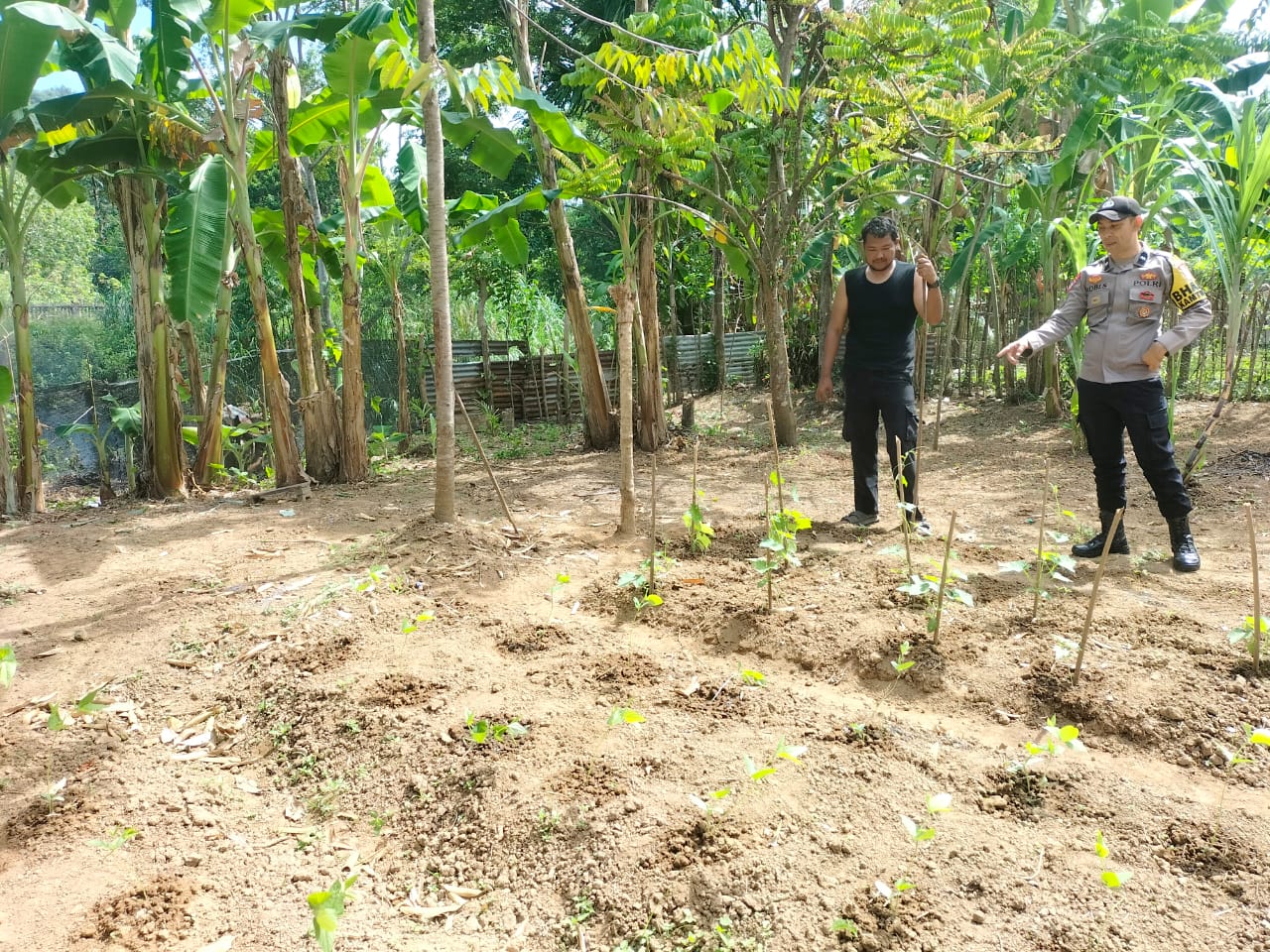 Polsek Labuhanhaji Timur Dukung Ketahanan Pangan Lewat Kunjungan ke Lahan Perkarangan Warga