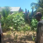 Polsek Kluet Utara Kunjungi Lahan Perkarangan Warga Dukung Ketahanan Pangan Nasional