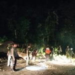 Sinergitas TNI – Polri, BPBD dan Masyarakat Evakuasi Pohon Tumbang di Tapaktuan