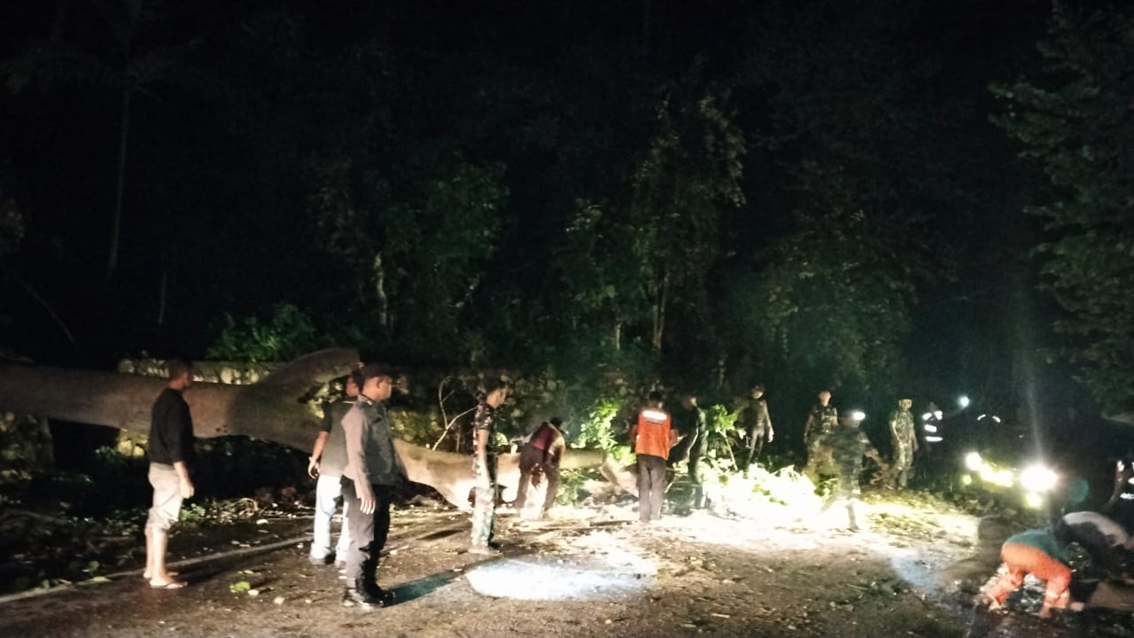 Sinergitas TNI – Polri, BPBD dan Masyarakat Evakuasi Pohon Tumbang di Tapaktuan