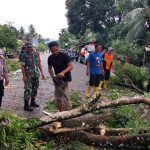 Polsek Kluet Utara Bersama Muspika Bersihkan Pohon yang Rawan Tumbang di Jalan Nasional