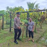 Sambangi Warga, Polsek Kluet Timur Ajak Masyarakat Manfaatkan Lahan untuk Tanaman Bergizi
