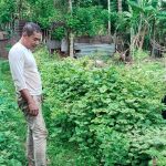 Dorong Ketahanan Pangan Bergizi, Personel Polsek Tapaktuan Kunjungi Lahan Perkarangan Warga
