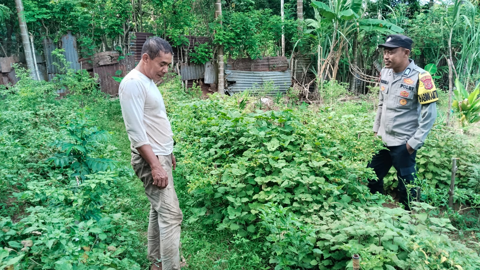 Dorong Ketahanan Pangan Bergizi, Personel Polsek Tapaktuan Kunjungi Lahan Perkarangan Warga