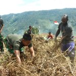 Satgas Yonif 112/DJ, Kodam Iskandar Muda Buka lahan pertanian di Puncak Jaya