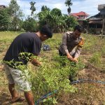 Dukung Ketahanan Pangan Nasional, Personel Polsek Tapaktuan Sambangi Kebun Cabai Milik Warga