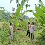 Polsek Labuhanhaji Timur Sambangi Lahan Perkebunan Warga