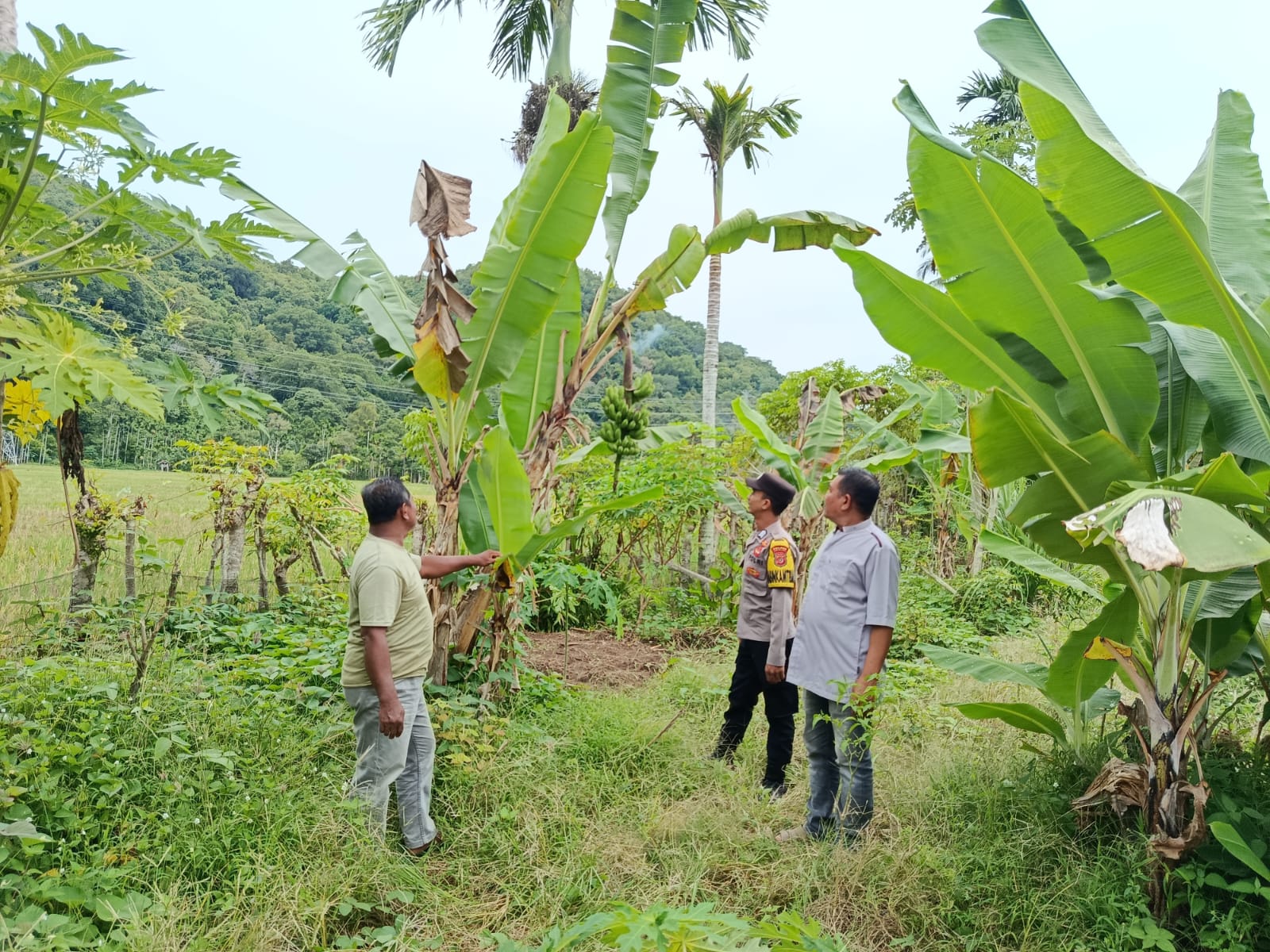 Polsek Labuhanhaji Timur Sambangi Lahan Perkebunan Warga