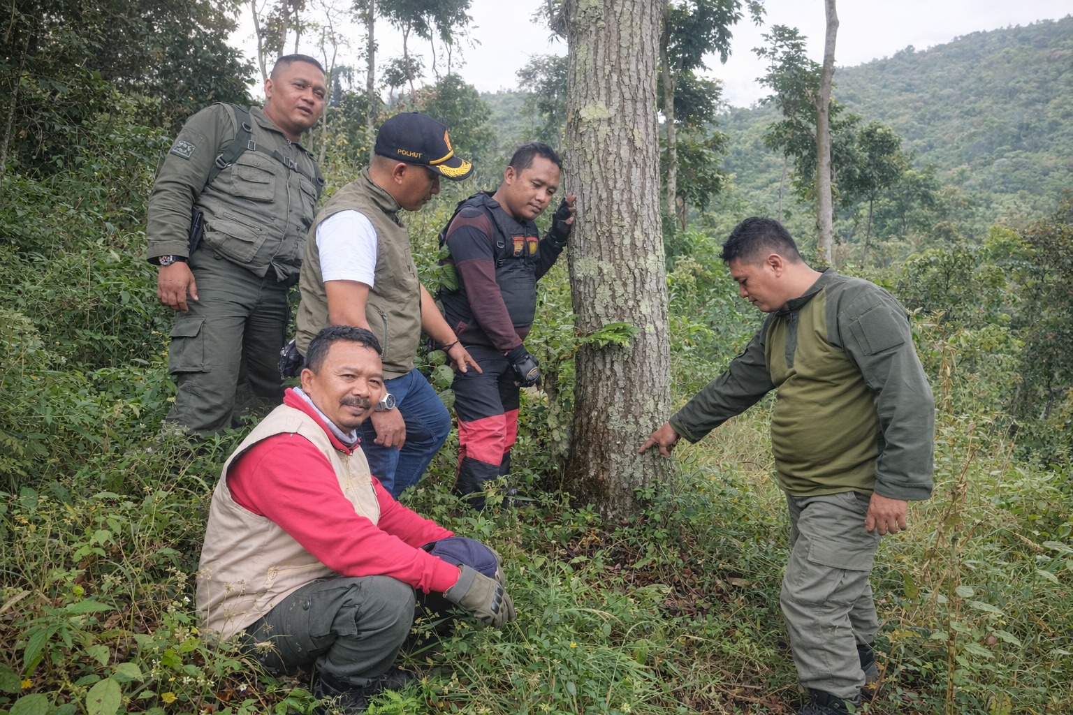 Perhutani KPH Bondowoso Laporkan Dugaan Pengrusakan Tegakan Hutan di Petak 6A3 ke Polres Situbondo