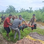 Gerak Cepat Polsek Trumon Timur Bersama SAR dan Warga Temukan Korban Tenggelam