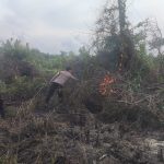 Dengan Gerak Cepat Polsek Kluet Selatan Berhasil Padamkan Titik Api Karhutla di Desa Pasi Lembang
