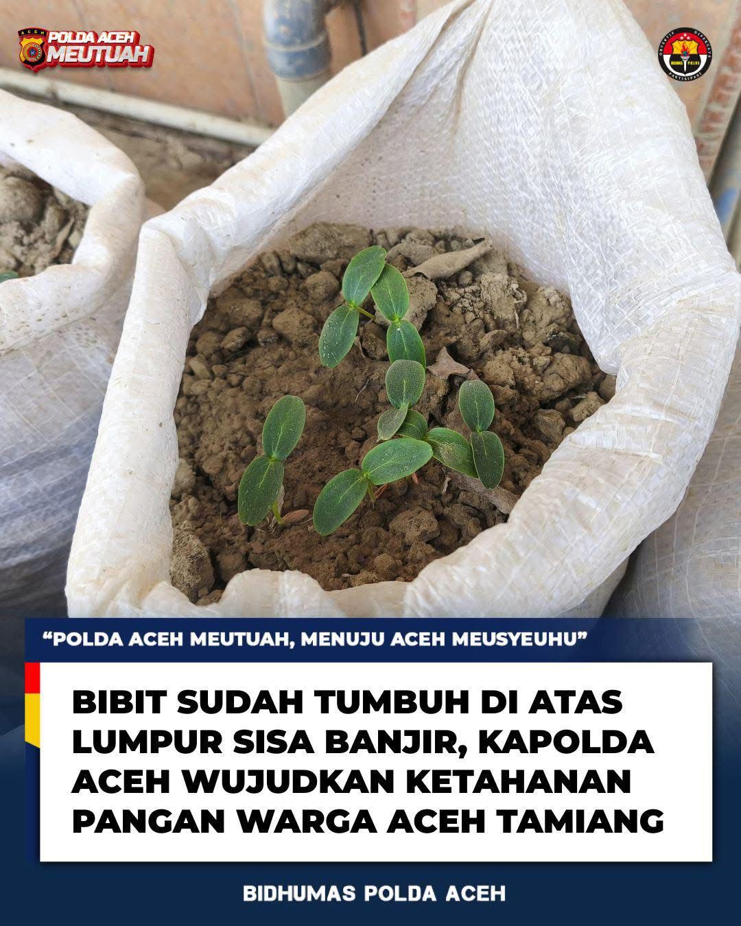 Bibit Sudah Tumbuh di Atas Lumpur Sisa Banjir, Kapolda Aceh Wujudkan Ketahanan Pangan Warga Aceh Tamiang
