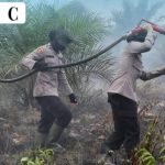 Penanganan Kebakaran Hutan dan Lahan (KARHUTLA) di Provinsi Riau